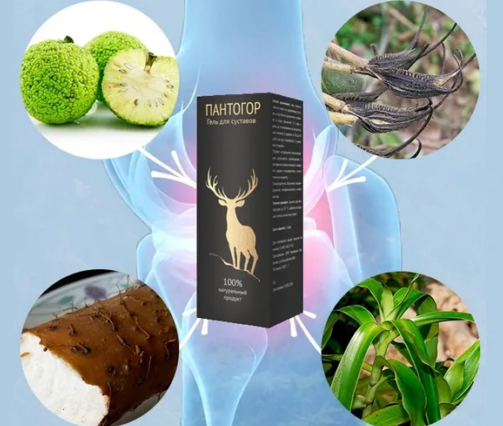 Kem Pantogor Cream 30ml Nga – Hỗ trợ điều trị đau nhức xương khớp