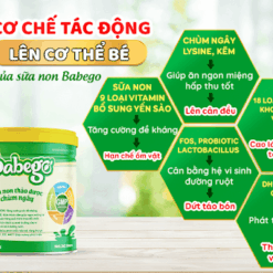 Sữa non thảo dược chùm ngây Babego 342gram