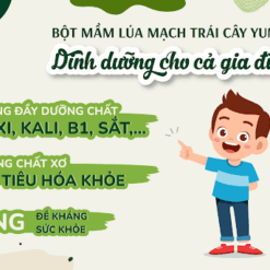 Bột mầm lúa mạch trái cây Yummy hỗ trợ tăng đề kháng