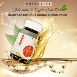 Viên Uống Phytocine Tinh Chiết Từ Xuyên Tâm Liên Giúp Cải Thiện Các Triệu Chứng Của Bệnh Hô Hấp