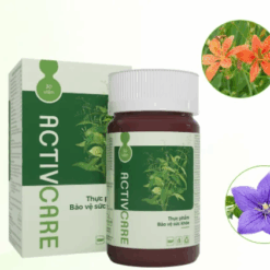 Hỗ trợ hô hấp, tăng đề kháng Activcare