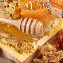 Xịt Họng Keo Ong Xuyên Tâm Liên Antivir