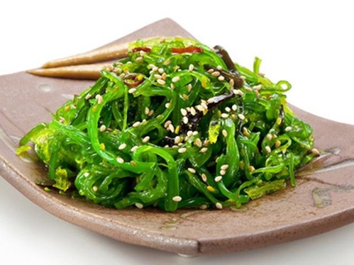 Tảo biển