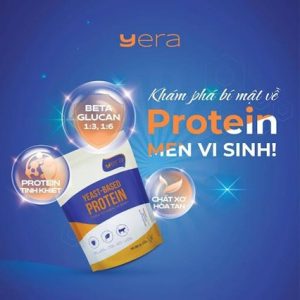 Thực phẩm chức năng hỗ trợ điều trị các vấn đề về hệ tiêu hóa