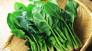 Giải pháp cho sức khỏe lâu dài