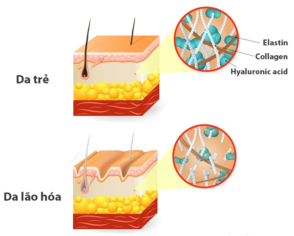 Phòng ngừa bệnh phụ khoa