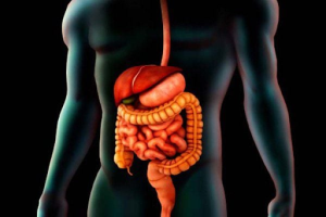 cốm BebuGold chiết xuất tự nhiên