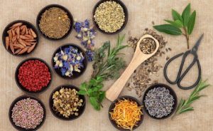 Sản phẩm thảo dược bổ sung dinh dưỡng an toàn lành tính